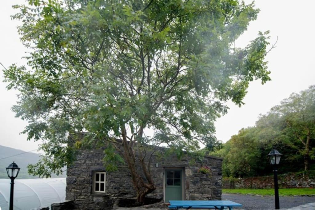 Fermoyle Properties Glynn'S Cottage Fanore Экстерьер фото
